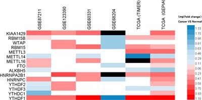 M6A “Writer” Gene METTL14: A Favorable Prognostic Biomarker and Correlated With Immune Infiltrates in Rectal Cancer